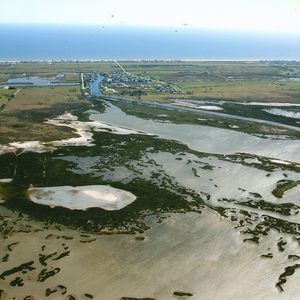 Team Page: Save Wetlands!